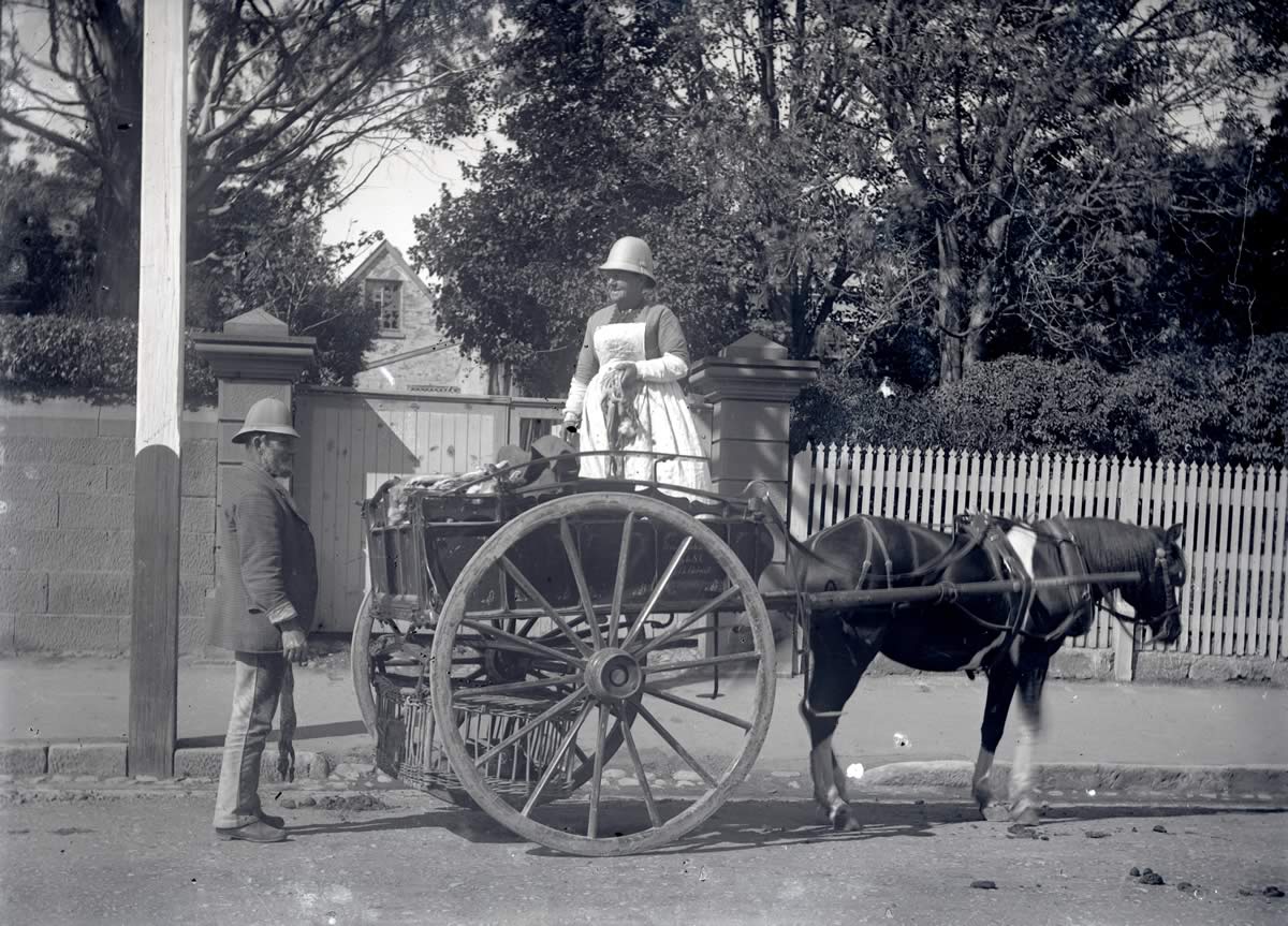 Woman selling rabbits on the street